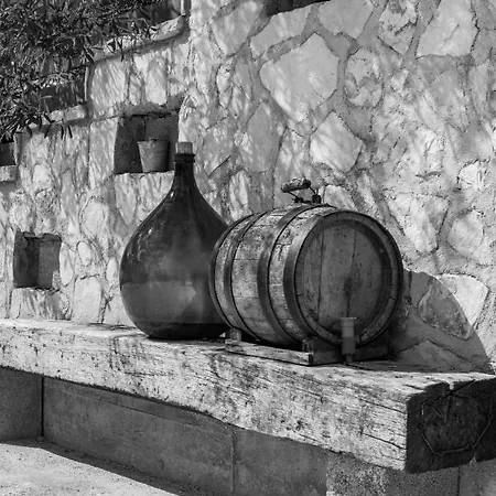 Tatil Evi House 1119 *